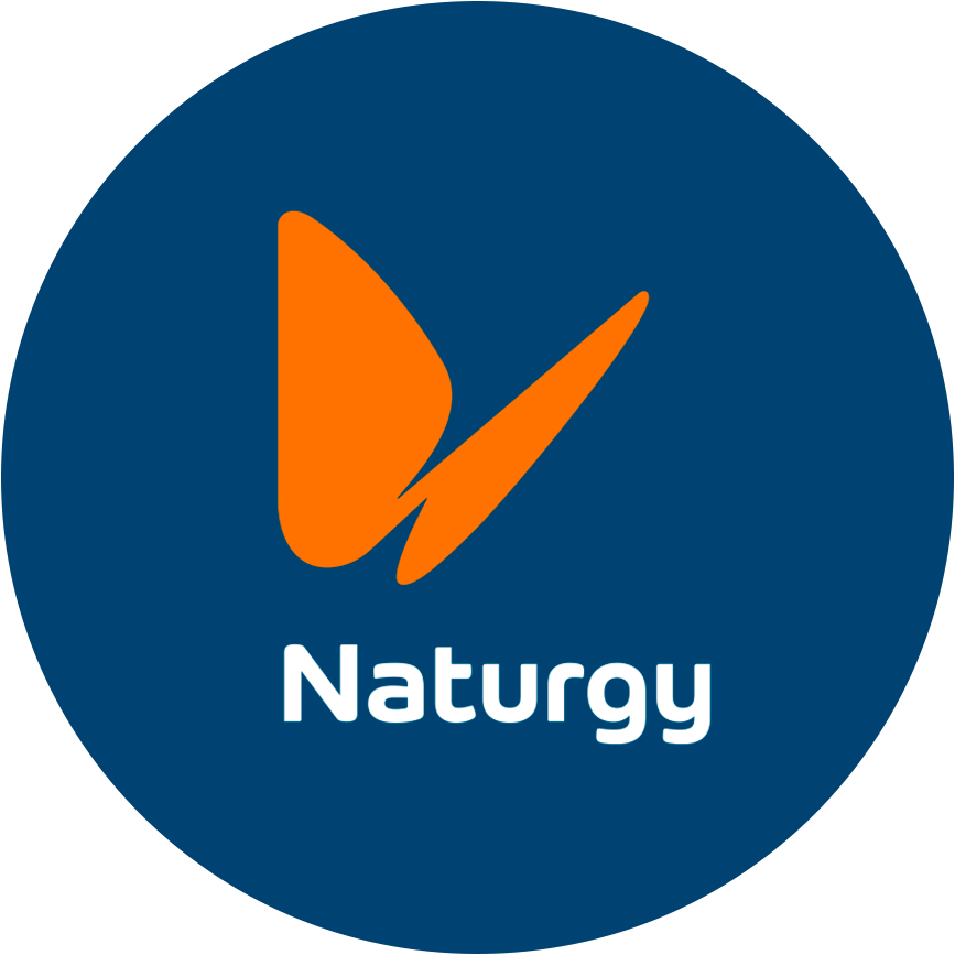 Simulador Solar Naturgy